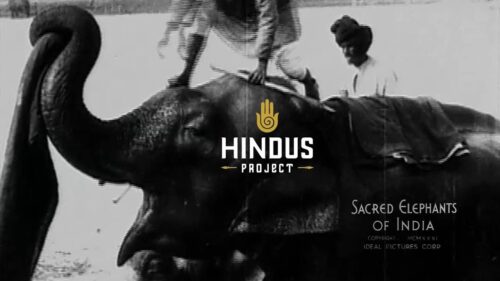 HINDUS PROJECT ® Sacred Elephant