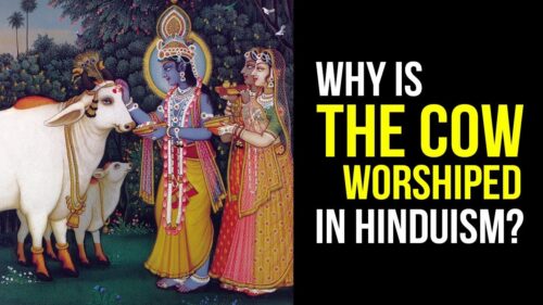 Why is the cow worshiped in Hinduism ? | Significance of Cow in Hindu Dharma | Artha - Superb Details 1