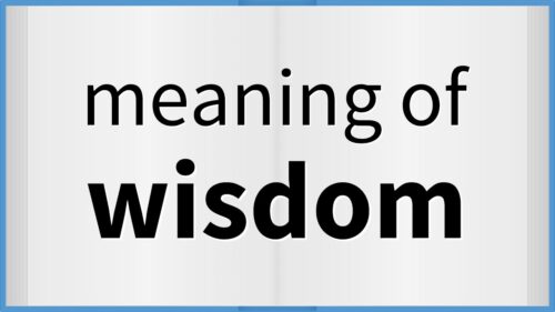 Wisdom | Meaning of wisdom