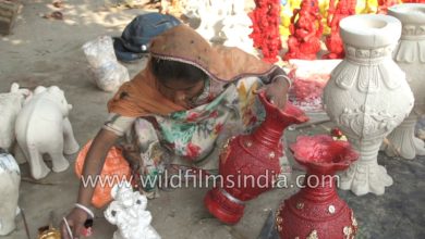 Bihari woman makes idols of Hindu Gods and Goddesses