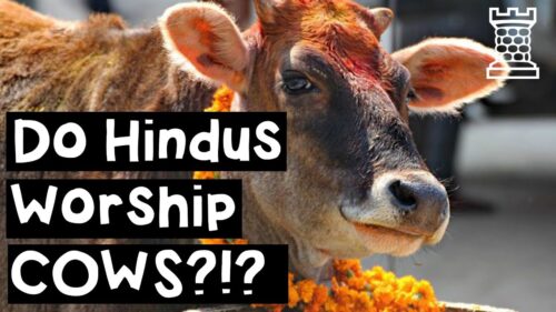 Do Hindus Worship Cows? - Hindu Beef Taboo Explained