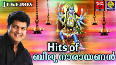 Hits Of Biju Narayanan | Hindu Devotional Songs Malayalam | Super Hit Malayalam Devotional Songs