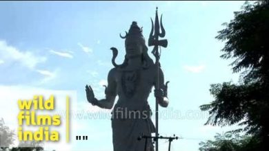 Shiva - the destroyer God of Hinduism - along the Ganges at Haridwar