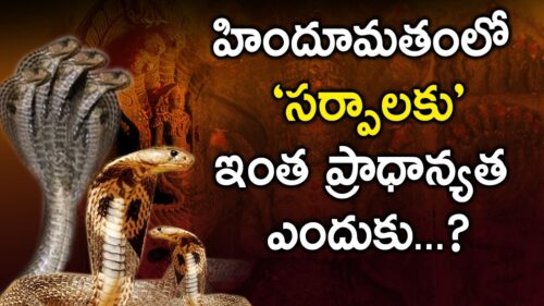 Why  Snakes are Considered Holy in Hinduism || Facts about snakes in eyeconfacts
