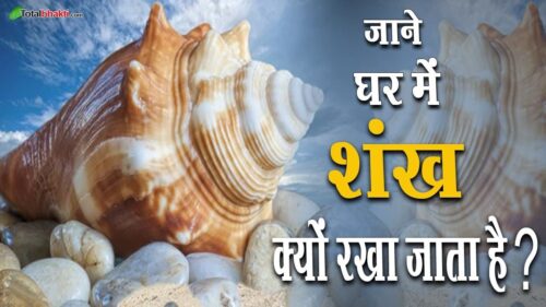 Why are Conch Shells in Hindu Homes | हिन्दू घरों में शंख क्यों रखा जाता है