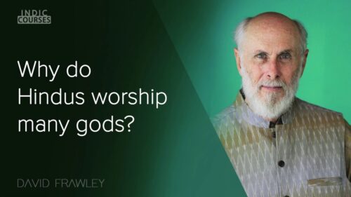 Why do Hindus worship many gods? - David Frawley - #IndicCourses