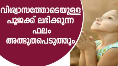 Better result of all kinds of hindu pooja with  belief | K V SubhashThantri | Malayalam Astrology