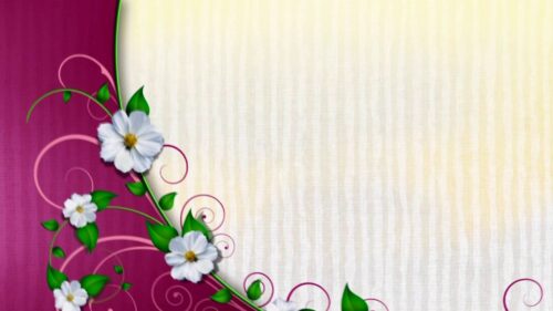 Free Wedding background, Free Hd motion graphics, Download video Animation - VECTOR 008