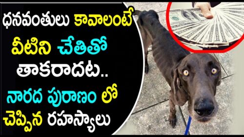 If You Want to Become Rich avoid this Things | Core Beliefs of Hindus | Trend Setter