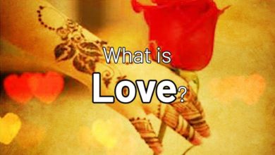 What is Love? | Jay Lakhani | Hindu Academy