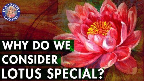 Do You Know? - Why Is Lotus Special? | Importance Of Lotus | Interesting Facts About Lotus