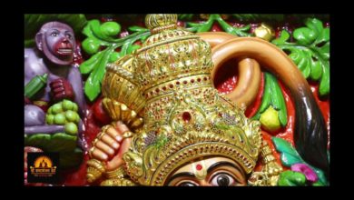Hanuman Jayanti  2019  Highlight  Salangpur Dham  02