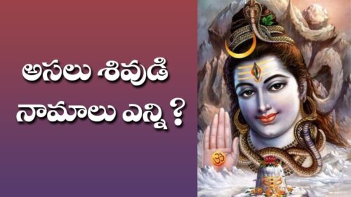 How many different names Lord Shiva Have? || Siva Sahasranama Stotram || Episode - 1