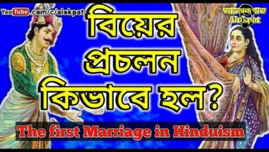 বিবাহের প্রচলন কিভাবে হয়েছিল? Marriage system in Hinduism, #আলোকপাত, #alokpat