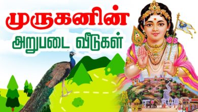 முருகனின் ஆறுபடை வீடு | Six Abodes of Murugan | Murugan Stories | Arupadai veedu in Tamil