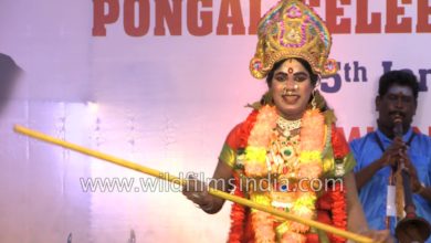 Dancers dressed as Lord Shiva and Goddess Parvati at the Pongal celebrations