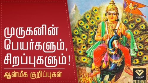 Different  names of Lord Murugan and the Specialties of those names | Murugan | VIVE BHAKTI