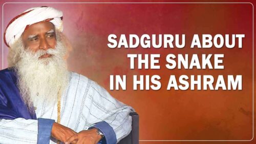 Sadhguru Jaggi Vasudev about he significance of the Snake in his Ashram | Sadguru Quotes