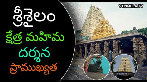 Unknown Facts About Srisailam Temple | Famous Lord Shiva Temples | Hinduism Facts | Vennela TV