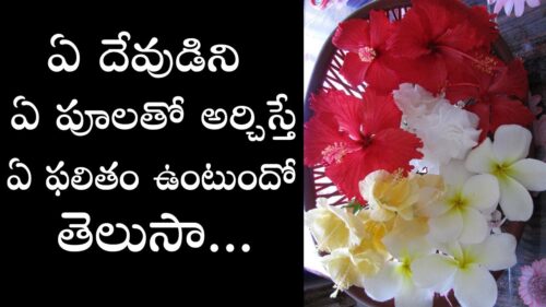 Which flowers offered to hindu gods and goddesses in pooja | Which god to be offered which flower