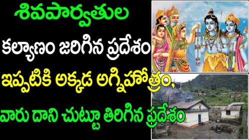 Shiva Parvathi Kalyanam Charitra | Lord Shiva Kalyanam | Shiva Agni Hotram | Top Telugu Media