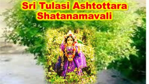 Sri Tulasi Ashtottara Shata Namavali | 108 names of Sri Tulsi Devi | Vrinda devi