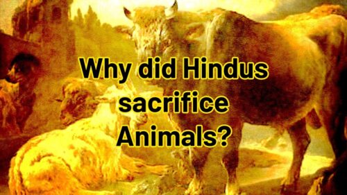 Why did Hindus sacrifice Animals?