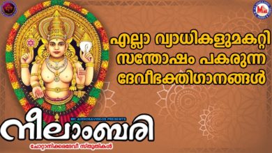 നീലാംബരി | ദേവി ഭക്തിഗാനങ്ങൾ | Hindu Devotional Songs Malayalam | Devi Devotional Songs |