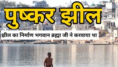 Bathing In Pushkar Lake, Rajasthan : The Lake Of Creator-God Brahma