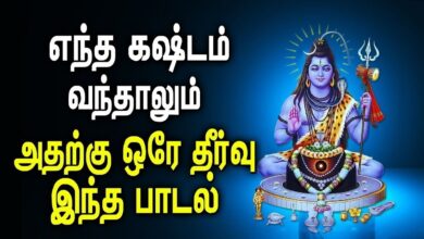 Lord Sivan Song to find solution for all your issues | Best Shiva Tamil Devotional Songs