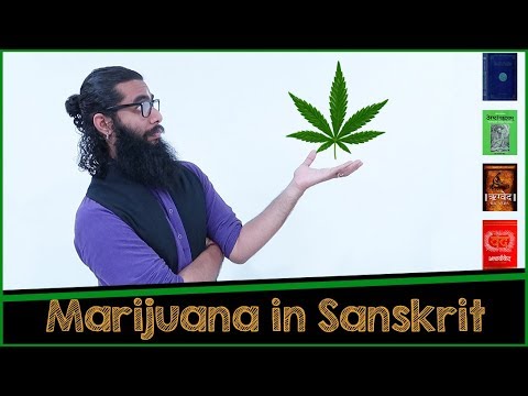 Marijuana in AtharvaVeda, Ayurveda and more...