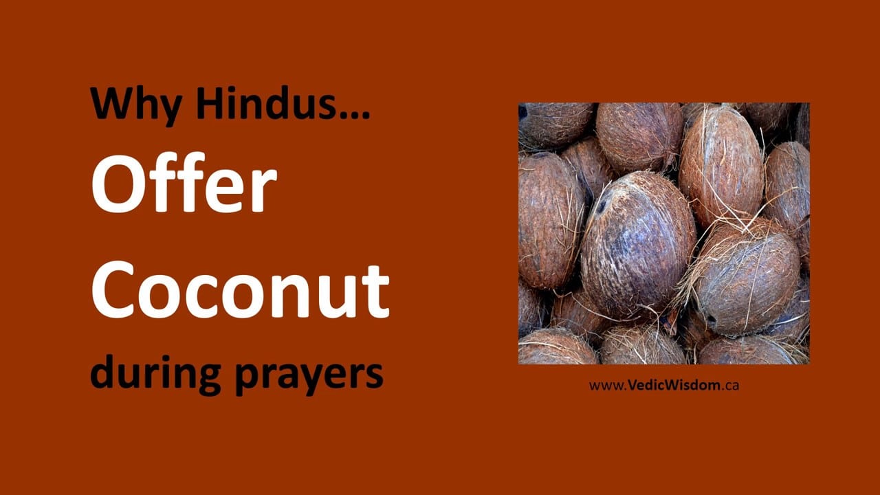 Why Hindus offer Coconut during prayers