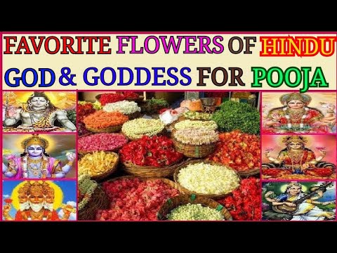 "Favourite Flower" of Hindu God & Goddess for Pooja/ Worship in English