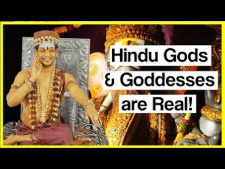 Hindu Gods & Goddesses are Real Cosmic Beings not some Philosophical concept! HDH Nithyananda
