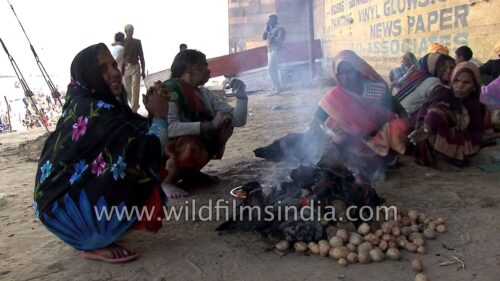 Women cooks food on burning cow dungs, India