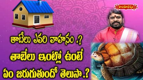 Can We Keep Tortoise at Home.? | Adrushta Laxmi | Hindu Dharmam
