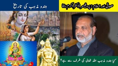 Into and History of Hindu Mat Hindo Mazhab Hinduism - Talk With Dr Akram Rana Ep 6