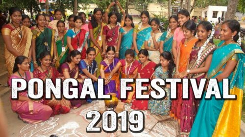 Pongal Festival 2019 | Significance Of Pongal | Pongal Rites | Hindu Rituals