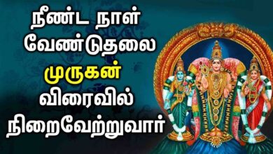 SUNDAY POWERFUL MURUGAN TAMIL SONGS | Lord Murugan Tamil Padalgal | Best Tamil Devotional Songs