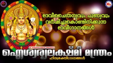 ഐശ്വര്യലക്ഷ്മി മന്ത്രം |ദേവി ഭക്തിഗാനങ്ങൾ | Hindu Devotional Songs Malayalam | Devi Devotional Songs