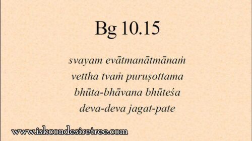 Gita 10.15 - Vedic theology is not polytheism, but multi-level monotheism