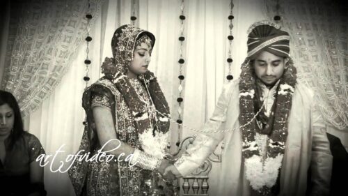 Hindu Wedding Highlights of Anil Ravneet by Art of Video.mp4