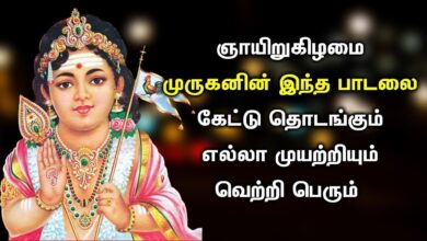 SUNDAY SPL MURUGAN TAMIL SONGS | Lord Murugan Tamil Padalgal | Best Tamil Devotional Songs