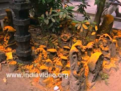 Snake Gods, snake worship, sacred grove, Mannarassala, Nagaraja, Hindu temple