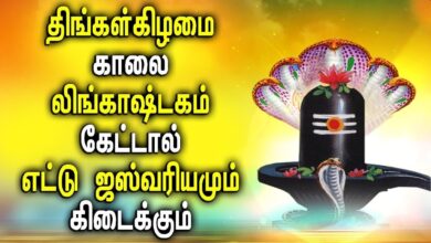 திங்கள்கிழமை ஸ்பெஷல் லிங்காஷ்டகம் சிவன் பாடல்கள் | Shiva | Best Tamil Shivan Padalgal