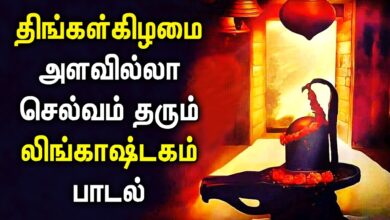 வீட்டில் செல்வம் வளம் பெருக லிங்காஷ்டகம் பாடல் | Lingashtakam Padalgal | Best Tamil Devotional Songs