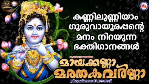 കണ്ണിലുണ്ണിയാം ഗുരുവായൂരപ്പൻറ്റെ മനം നിറയുന്ന ഭക്തിഗാനങ്ങൾ |New Devotional Songs| Sree Krishna Songs