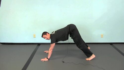 How to do the Hindu Pushup - and Why!