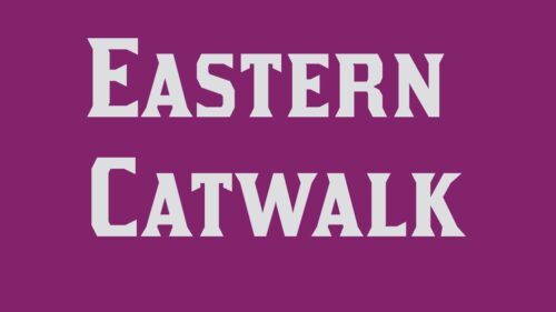 Rangeela 2017 - Eastern Catwalk