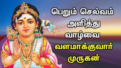 SUNDAY POWERFUL MURUGAN TAMIL SONGS | Lord Murugan Tamil Padalgal | Best Tamil Devotional Songs